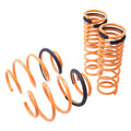 Megan Racing Lowering Springs