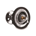 160F Low Temperature Thermostat