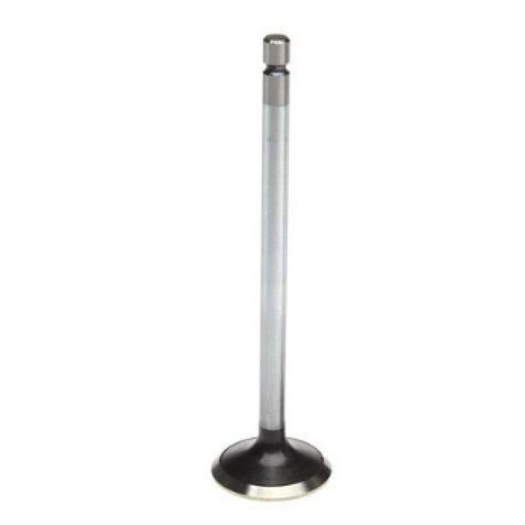 Mahle Engine Exhaust Valve 211-4670