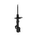 OESPECTRUM PREMIUM STRUT