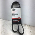 Gates 01-04 Ford Focus 4-Cyl. 2.0L Serpentine Standard V-Ribbed Belt