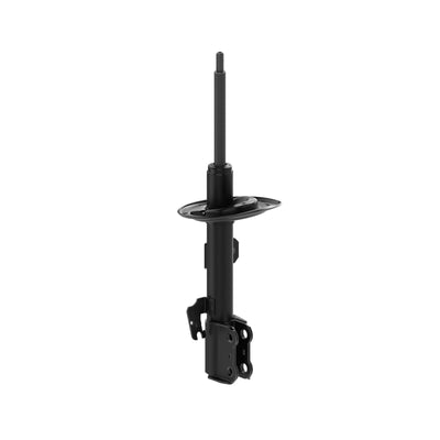 OESPECTRUM STRUT