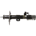 OESPECTRUM STRUT