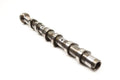 3.0L-5.5L V6/V8 Intake Camshaft (Left Side)