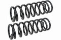 Front Coil Spring Set