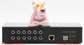 Digital Audio Processor