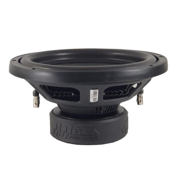 12-Inch Dual 4-Ohm Subwoofer