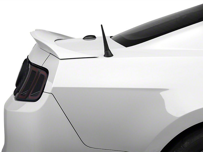 Rear Spoiler