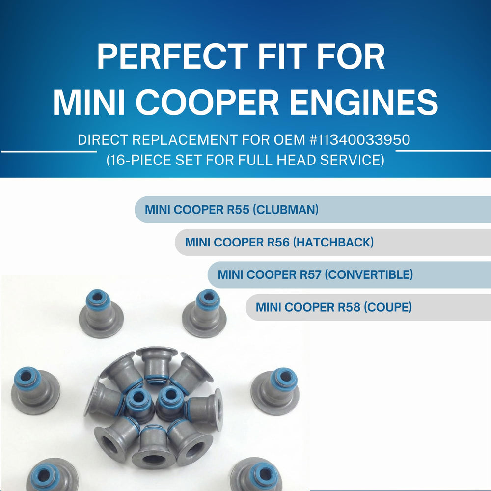 Valve Stem Seal Kit