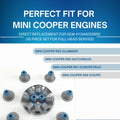 Valve Stem Seal Kit