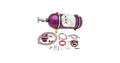 LSX Nitrous System, 75-175HP Adjustable
