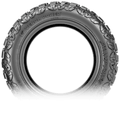Aggressive Tread 3-Ply Sidewall Tire