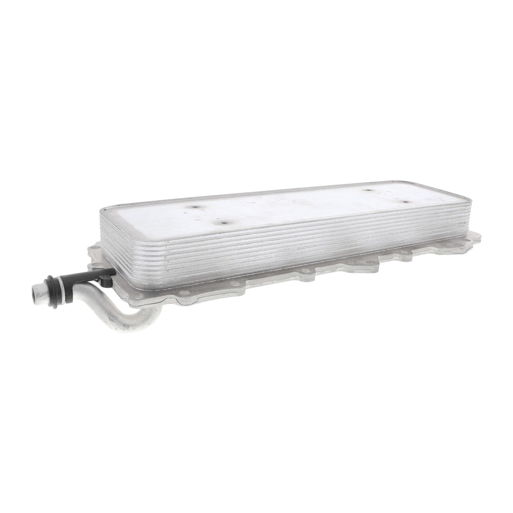 Engine Oil Cooler