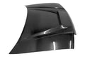 Invader Carbon Fiber Hood