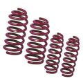 Lowering Springs Set