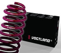 Sport Spring Kit, W210 E-Class
