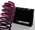 High-Tensile Lowering Spring Set