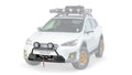 Semi-Hidden Winch Mount With Auxiliary Light Tabs