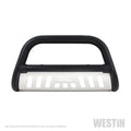 Bull Bar with Skid Plate