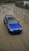 GTS Style Hood
