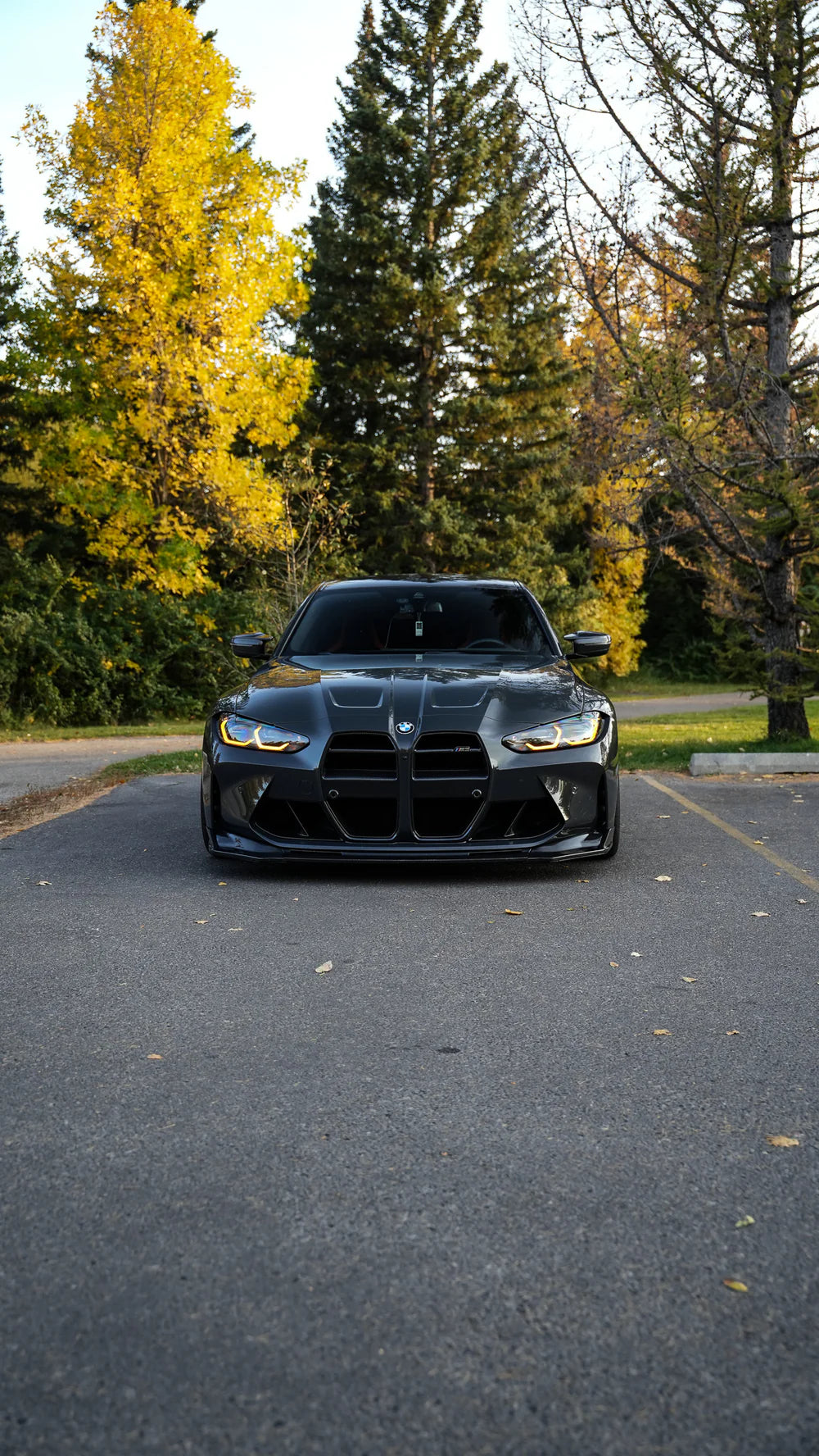 GTS Style Hood