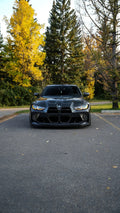 GTS Style Hood
