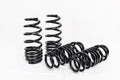 Lowering Springs