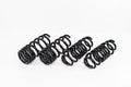 Lowering Springs