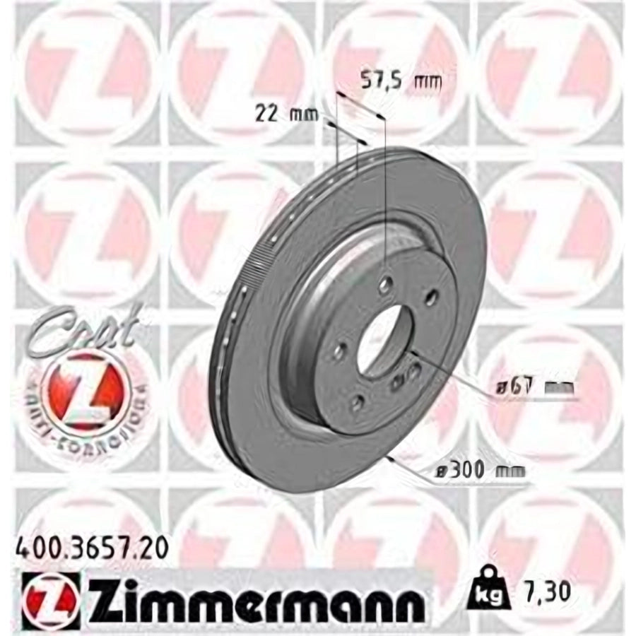 Rear Axle Rotor, 22mm Thickness