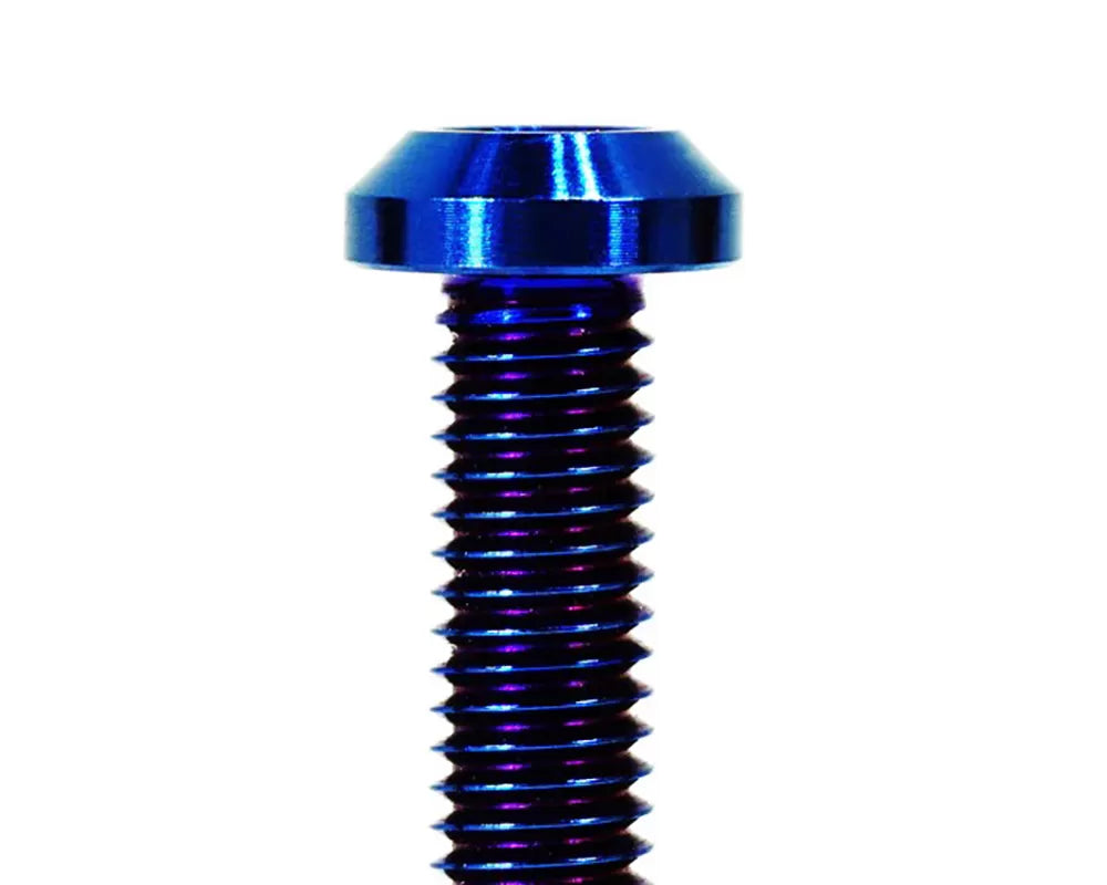 Titanium Door Jamb Fastener Kit