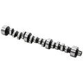 Camshaft 210/210 .317 Lift 113 LSA