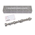 Camshaft 210/210 .317 Lift 113 LSA