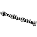 Camshaft 210/210 .317 Lift 113 LSA