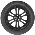 Ziex ZE950 A/S All-Season Tire