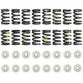 ZZP 82# Ecotec Valve Springs & Titanium Retainers