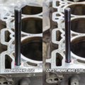 LTG Race Head Stud Kit