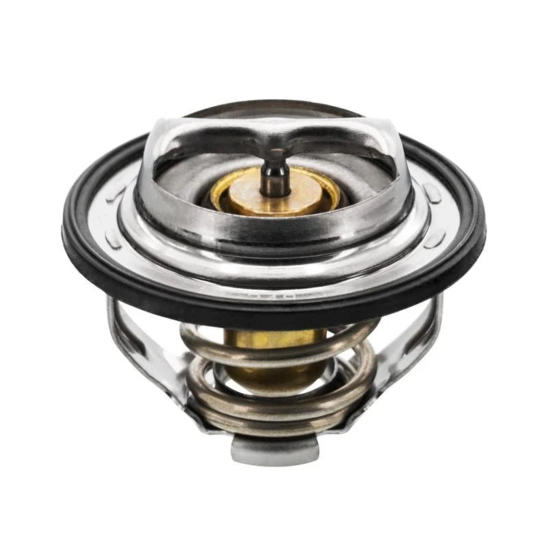 Ecotec 180-Degree Thermostat