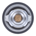 Engine Coolant Thermostat
