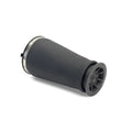 Rear Air Spring