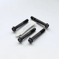 Titanium Bolt Kit