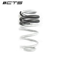 Lowering Springs for Audi B8/B8.5 A4/S4