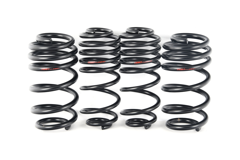 B9 A4/S4 Lowering Spring Set
