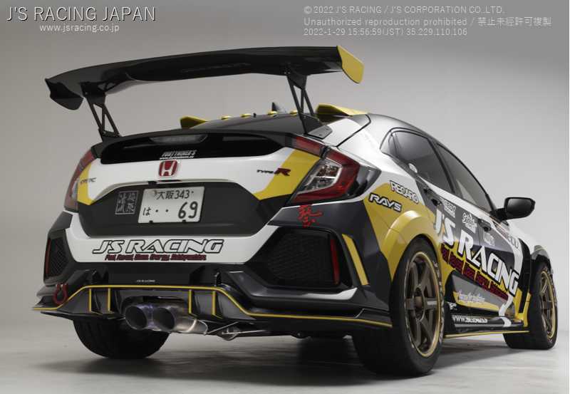 3D GT Wing, Wet Carbon