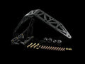 Sport Differential Brace
