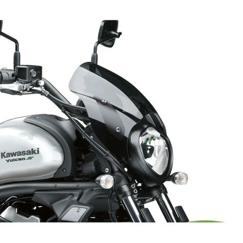 Windshield Deflector