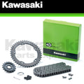 Drive Chain Kit w/ 14T Engine Sprocket & 41T Rear Sprocket