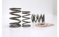 Dual Valve Spring Set for Honda B18 B20B Engines