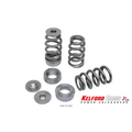 Dual Valve Spring Set for Honda B18 B20B Engines