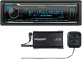 Digital Media Receiver with Bluetooth and Alexa