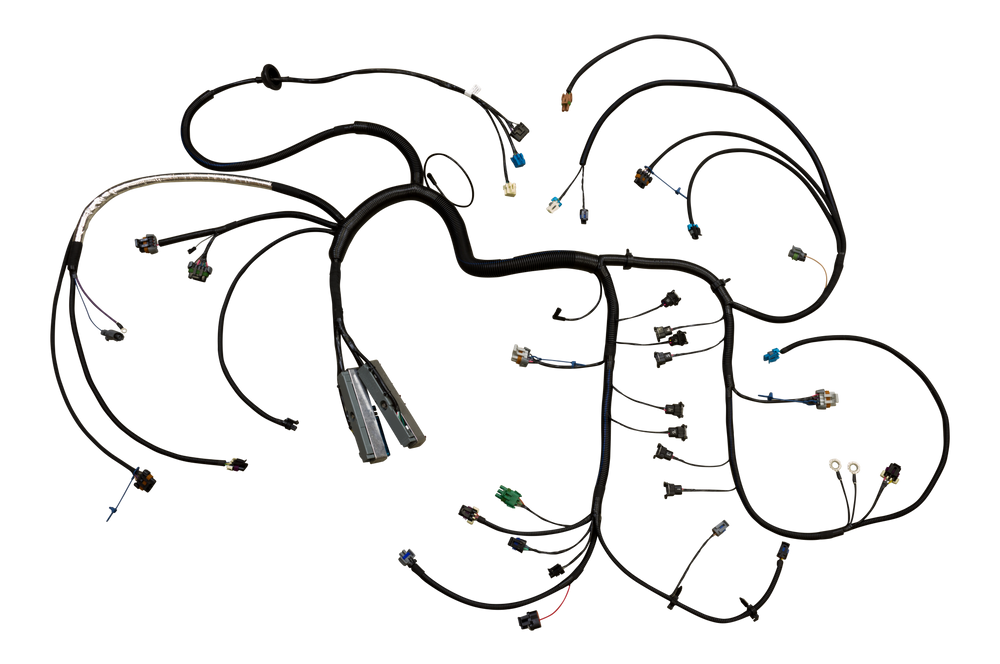 EFI 24x Plug and Play Engine Harness Assembly